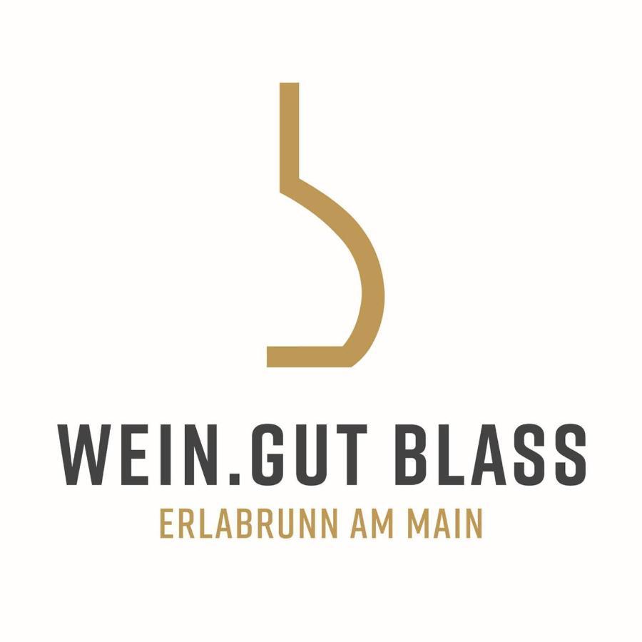 Weingut Martin Blass Erlabrunn Kültér fotó